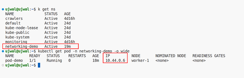 Kubernetes pod showing cluster IP and scheduled worker node
