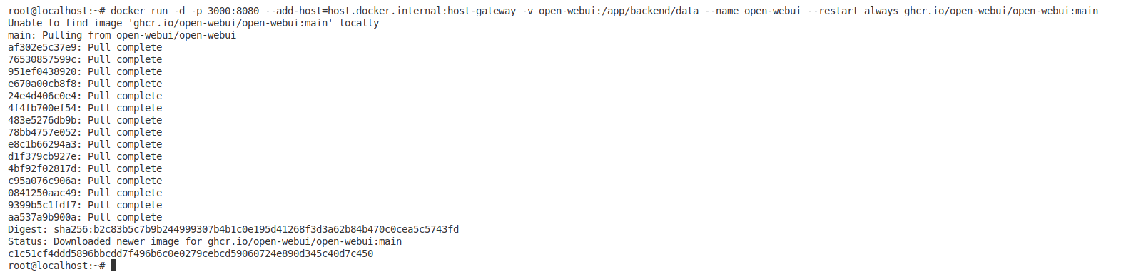 Running OpenUI docker container